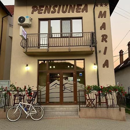 Pensiunea Maria Călimăneşti Buitenkant foto